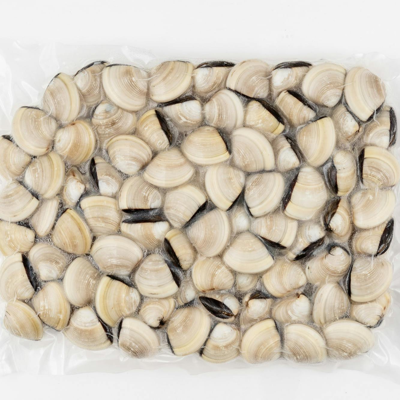 Frozen Clam supplier and exporters in Vietnam | Tanis Imex Co., Ltd