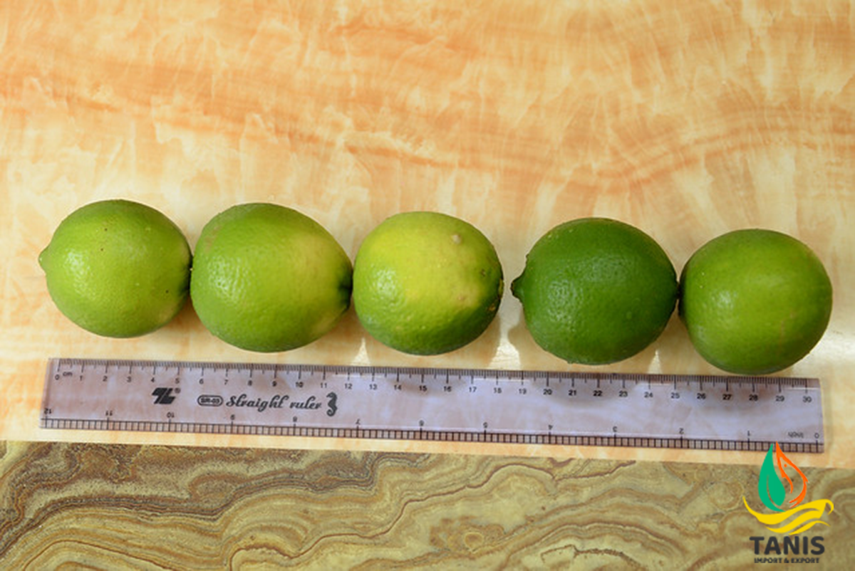 seedless lime