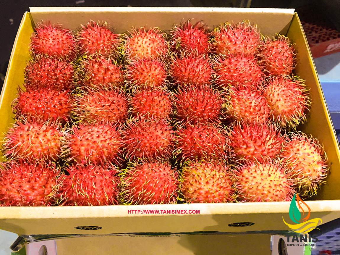 rambutan fruit supplier in vietnam - tanis imex