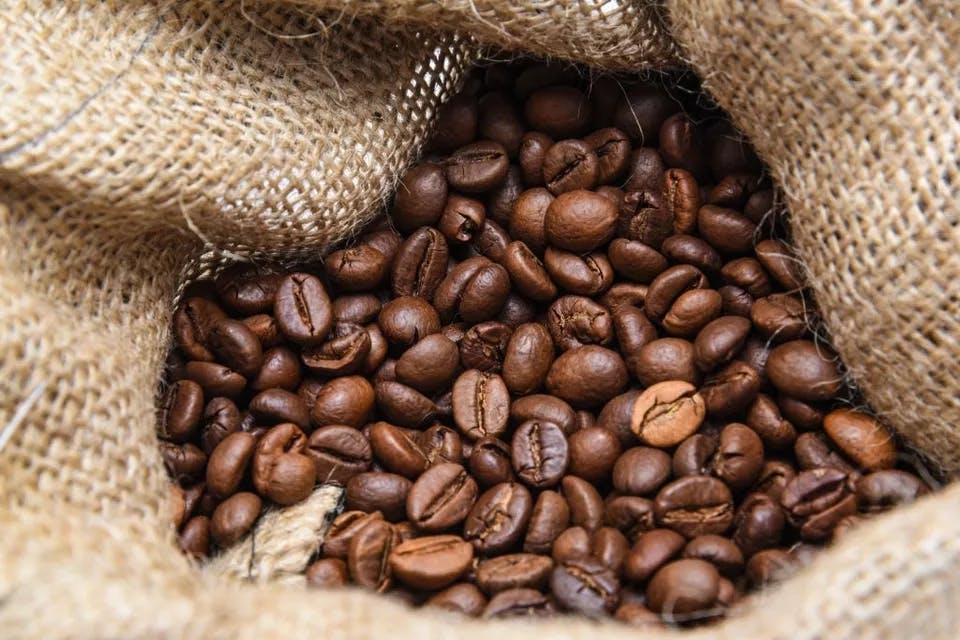 Arabica and Robusta Coffee beans exporter in Vietnam Tanis Imex