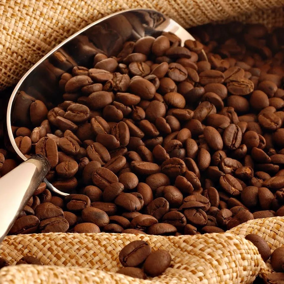 Arabica Coffee Beans in Vietnam