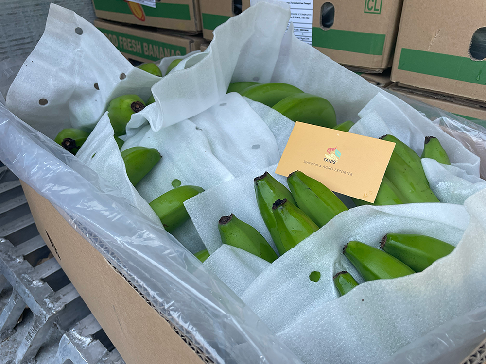 Fresh Cavendish Banana suppliers and exporters in Vietnam | Tanis Imex Co.,Ltd