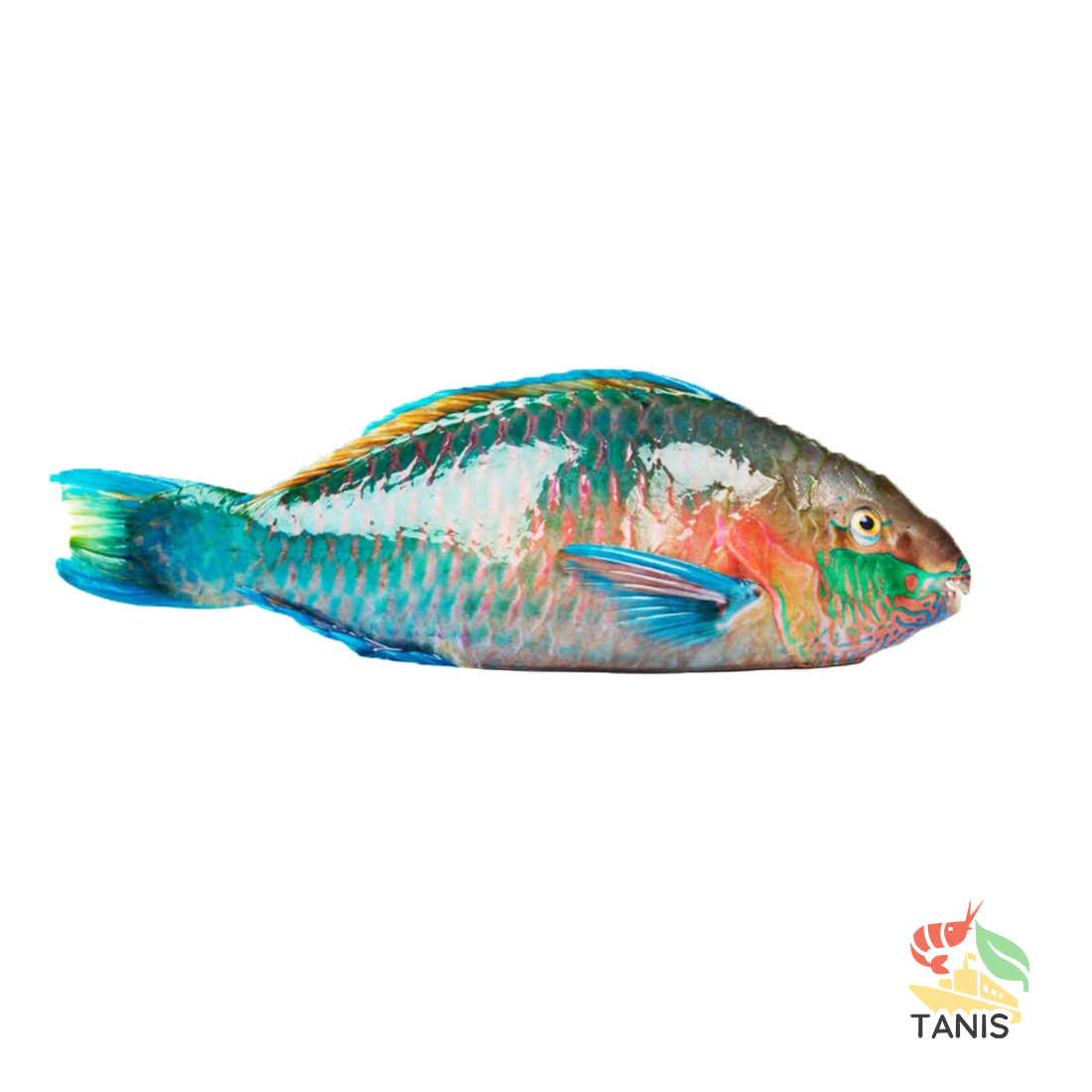 parrot-fish