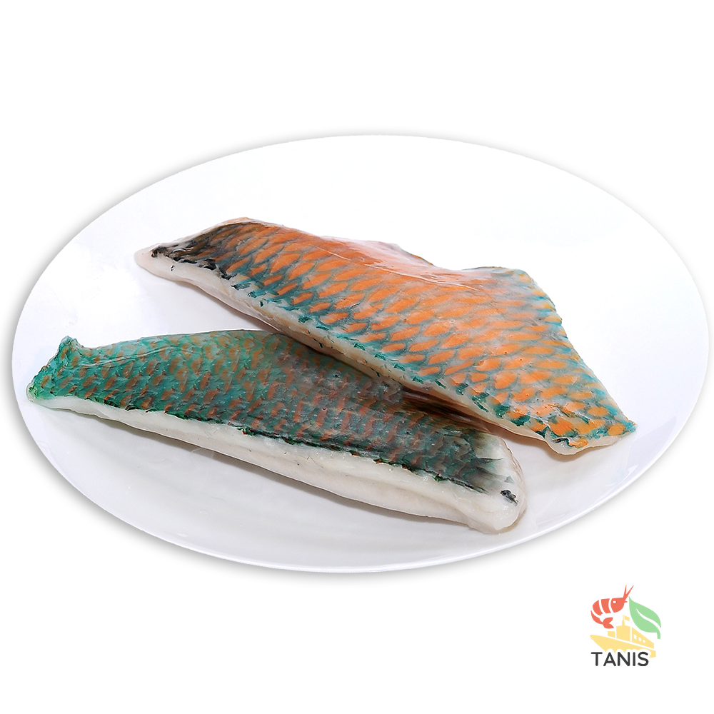 Frozen Parrot Fillet Exporters and suppliers | High quality Scarus spp | Tanis Imex Co., Ltd