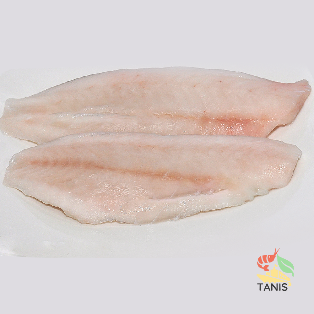 Frozen Parrot Fillets Exporters and suppliers | High quality Scarus spp | Tanis Imex Co., Ltd