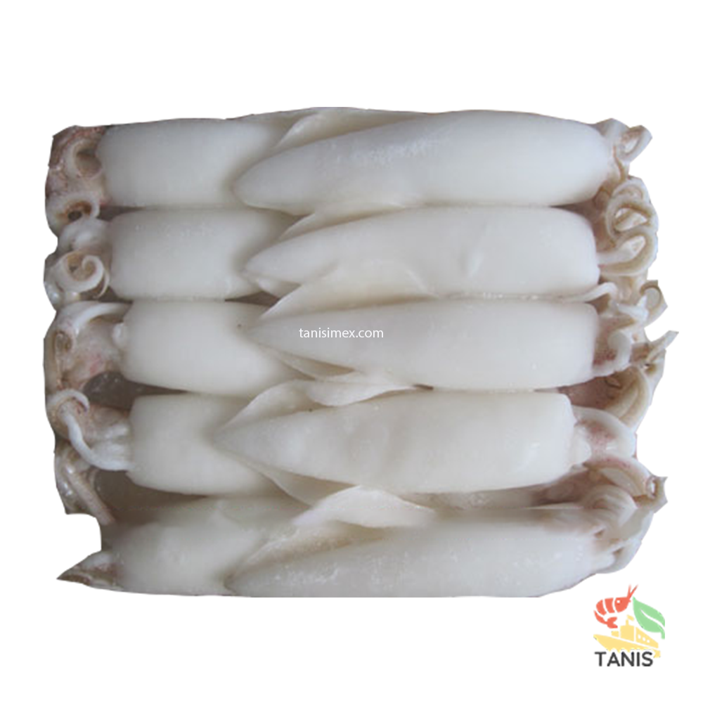 Finding the  best quality of Frozen Whole Squid Cleaned exporters in Vietnam | Tanis Imex Co., Ltd