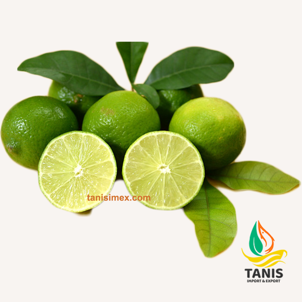 Finding the best exporter of Seedless lime in Vietnam | Tanis Imex Co., Ltd