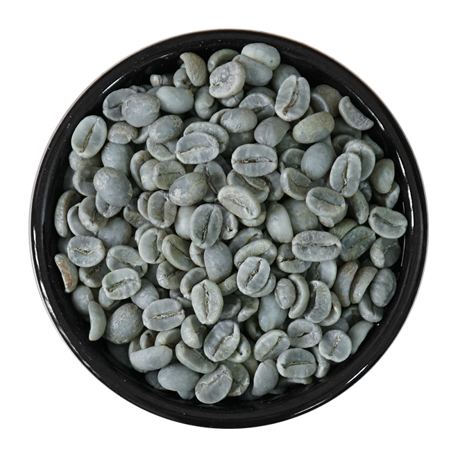 Arabica coffee beans from Tanis Imex Co., Ltd