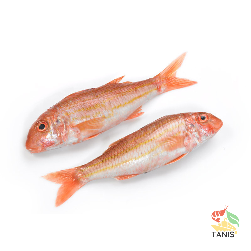 Finding suppliers of Frozen Red Mullet | Tanis Imex Co., Ltd