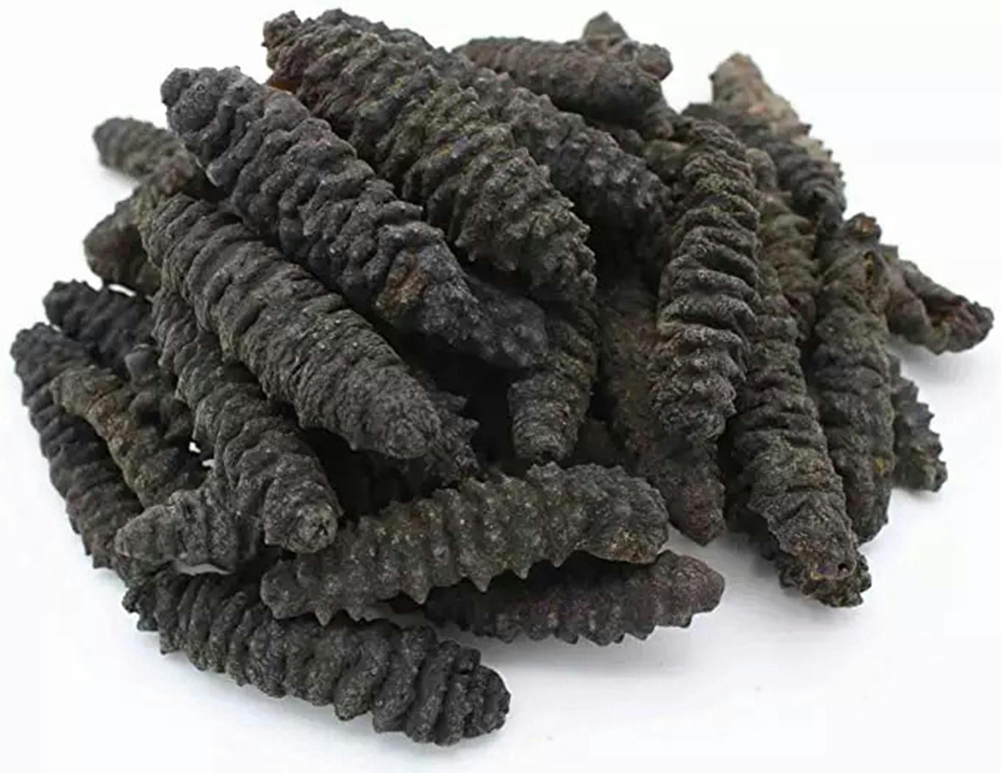 Dried Sea Cucumber | Sea Cucumber exporters and supplier from Vietnam | Tanis Imex Co., Ltd