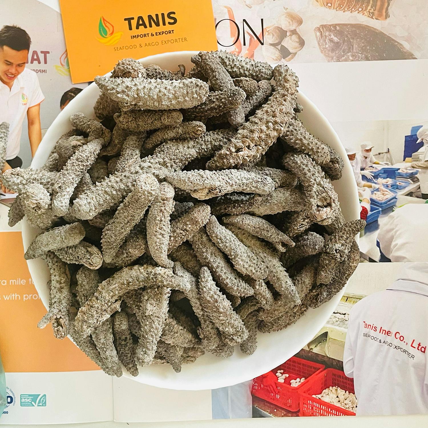 Dried Sea Cucumber Exporters | Tanis Imex Co., ltd