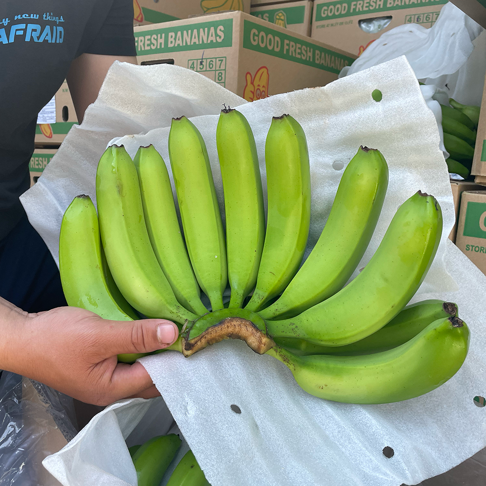 Fresh Cavendish Banana suppliers and exporters in Vietnam | Tanis Imex Co.,Ltd